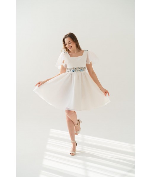 Wildflowers embroidered short dress