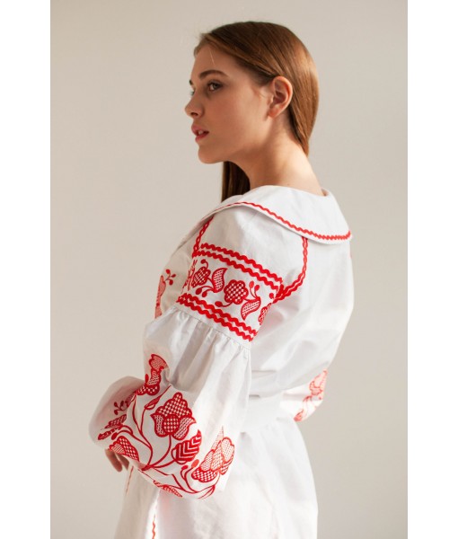 Red floral embroidered dress